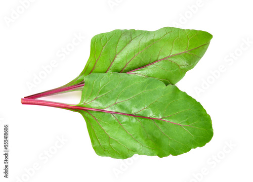 Swiss chard leaves on a white background