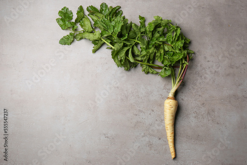 Fresh ripe parsnip on grey table, top view. Space for text