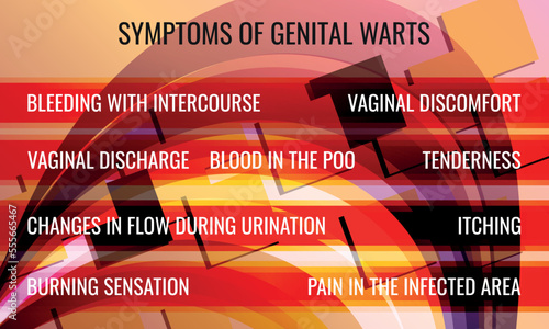 symptoms of genital warts. Vector illustration for medical journal or brochure.