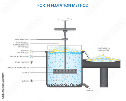 Froth flotation process for the sulphide ore