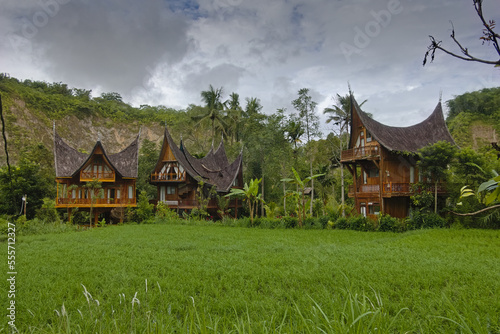 Traditional Minangkabau Houses behind rice field, Bukittinggi, West Sumatra, Indonesia
