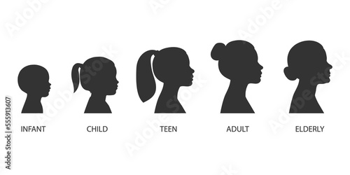 The stages of a woman's growing up - infant, child, teen, adult, elderly. Collection of silhouettes of women of different ages. Illustration on transparent background