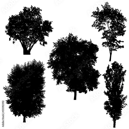 Set of silhouettes of trees on white background.