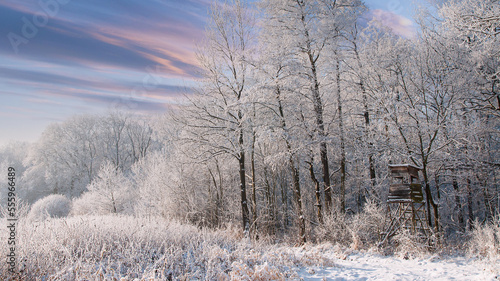 Zimowe krajobrazy. ośnieżone drzewa ,zaśnieżony las i skute lodem rzeczki.