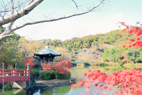  [愛知県]瀬戸市定光寺町の定光寺公園