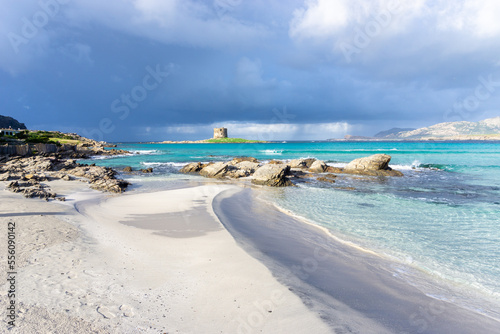 view of the idyllic white sand beach of La Pelosa in northwestern Sardinia