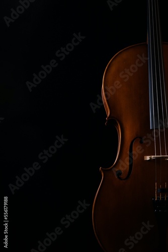cello on black background
