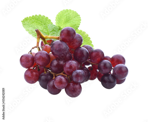 Grapes. Red grape. Grape branch isolated transparent png