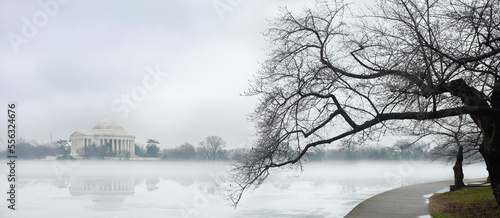 Washington DC in the winter- Jefferson Memorial and cherry trees at tidal basin in a foggy day - Washington DC United States