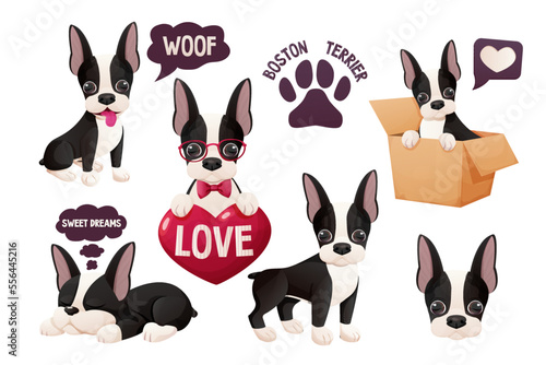 Set Cute Boston terrier stickers, cool sweet puppy in cartoon style isolated on white background. Cute dog, print design