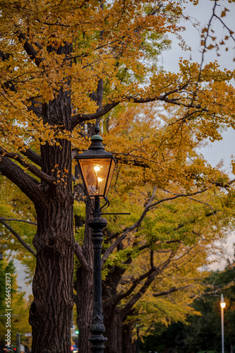 Yamasita Park lantan