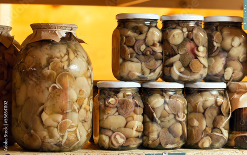 Glass jars with homemade marinated mushrooms stand in a row