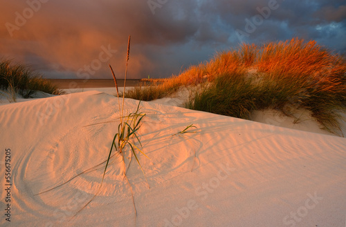 Wybrzeże Bałtyku- wydma , plaża, piasek, zachód słońca