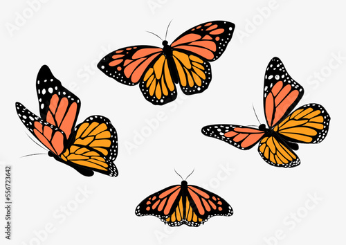 Vector butterflies, vector illustration of textured butterflies, decorations 