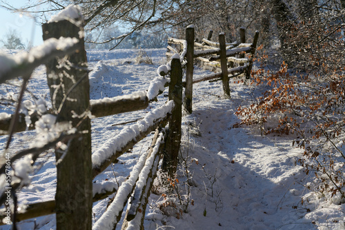 Stary drewniany płot pokryty czapami śniegu. Zima na wsi, w lesie. Ścieżka przyrodnicza zasypana śniegiem.