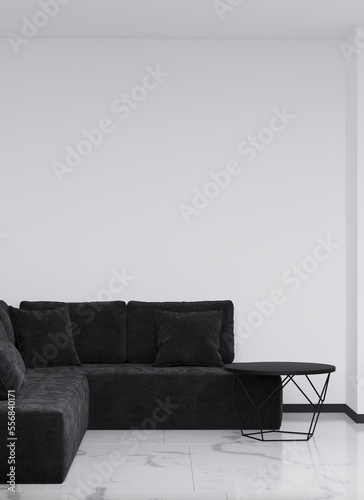 Black and white living room. Dark sofa and light empty walls. Luxury space for art, picture or lamp. Mockup interior design. 3d rendering