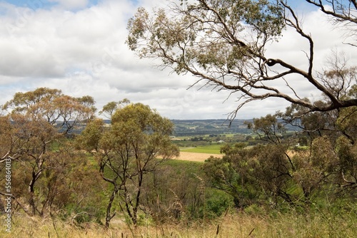View of McLaren Vale wine region in South Australia with vineyards, meadows and cloudy sky