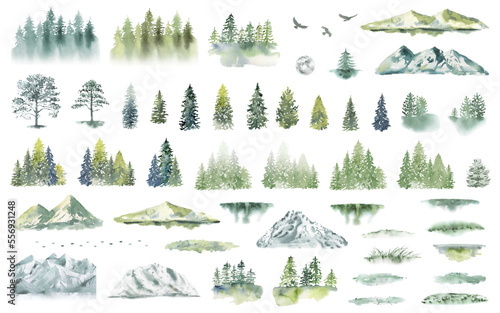 Watercolor Forest tree illustration. Mountain landscape. Woodland pine trees. Green Forest. PNG image with transparent background.