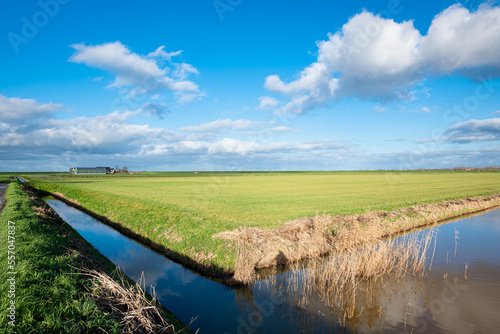 Green wide open landscape "Zuidplas Polder" in Holland on sunny day