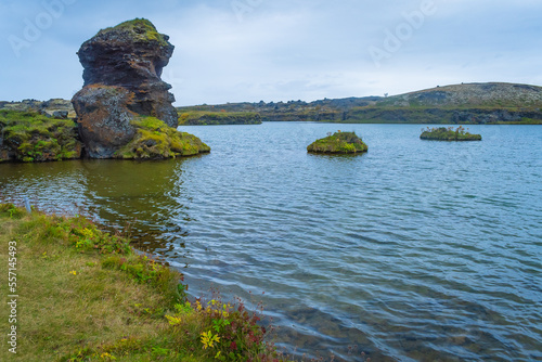 Landscape of the Myvatn Lake (Iceland)