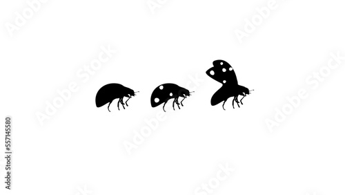 ladybug silhouette