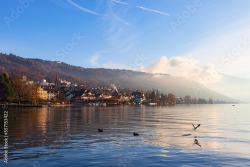 Panoramic view of the waterfront of the city of Zug and the lake, in the background slopes and buildings in the fog, with a seagull flying in the foreground