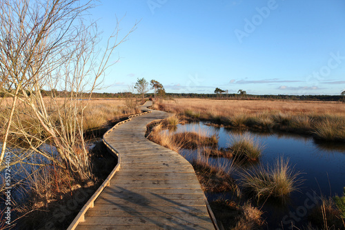 The restored boardwalk at Thursley Common, Surrey, after it was destroyed by wildfire during the pandemic.