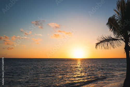 Beautiful sunrise at sea. Dawn on the Red Sea. The sun is reflected in the sea. Palm trees and palm leaves against the background of the rising sun. Tropical sunrise. Dominican Republic