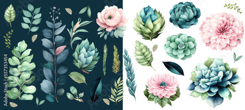 Watercolour floral set. Vector illustration