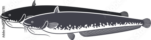 European catfish logo. Isolated catfish on white background