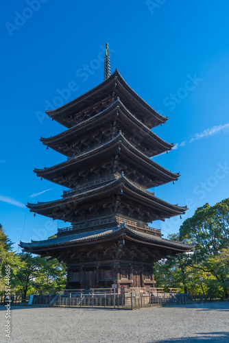 京都の東寺にある枝垂れ柳と五重塔の風景