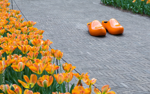 A pair of orange traditional Dutch wooden clogs and tulips in Netherlands