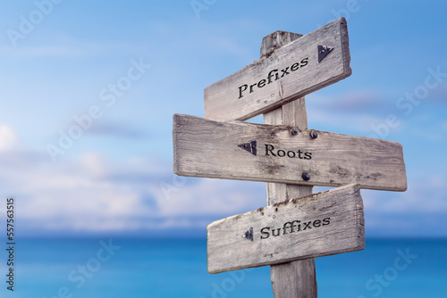 prefixes roots suffixes text quote on wooden signpost crossroad by the sea