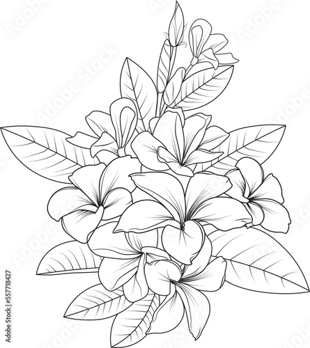 Set of a decorative stylized frangipani flower isolated on white background. Highly detailed vector illustration, doodling and zentangle style, tattoo design blossom plumeria flowers.