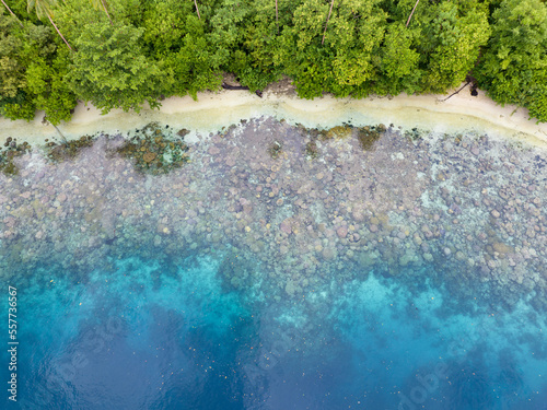 A lush, tropical island is fringed by a coral reef in the Solomon Islands. This beautiful country is home to spectacular marine biodiversity and many historic WWII sites.