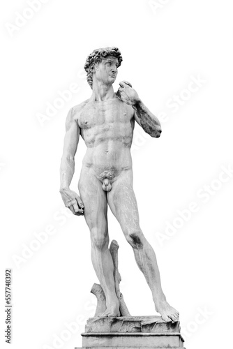 Renaissance statue of David by Michelangelo isolated