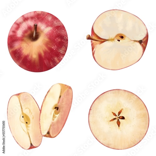 Apple red whole halves with seeds and slices set on a white background, digital drawing.