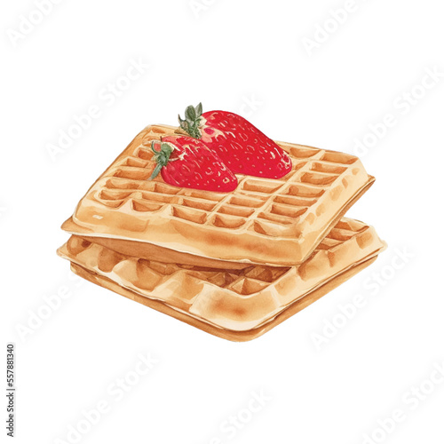 waffle hand drawn with watercolor painting style illustration