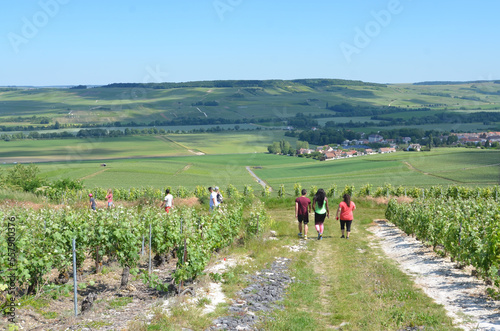 Randonnée dans le vignoble champenois dans les environs de Troissy, France, Champagne Ardennes, vallée de la marne