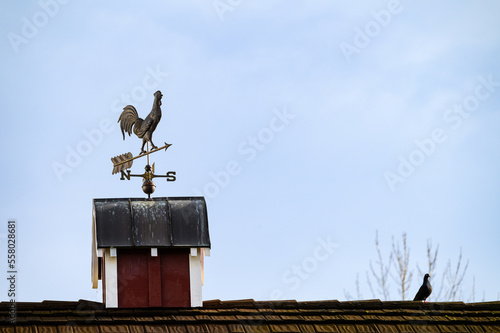 Copper rooster weathervane on a red barn with a pigeon for company, against a blue sky 