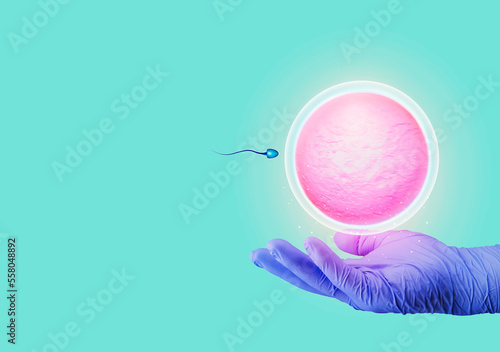 Pregnancy, fertilization of the ovum. natural insemination. Natural fertilization. Active sperm swim to the egg. the hand holds an egg next to a sperm. hand isolated on emerald green background.