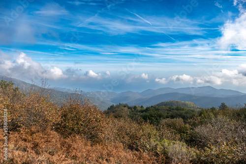 Boschi dell'Appennino Ligure (Varazze, Savona) - Parco del Beigua