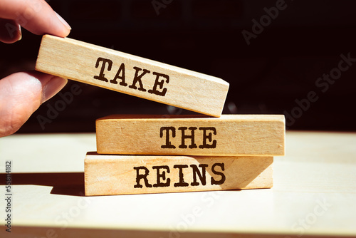 Closeup on businessman holding a wooden blocks with text TAKE THE REINS, business concept