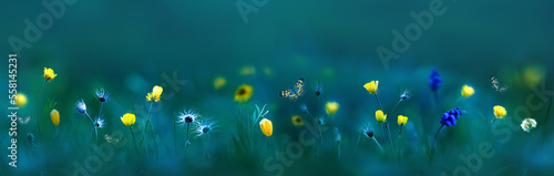 Yellow wild flowers and beautiful butterflies. Spring summer background. Banner format.