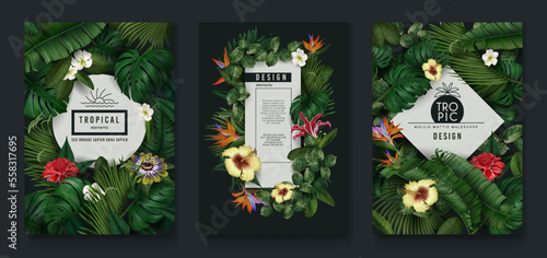 Tropic leaf banner, green jungle plants and exotic flowers. Nature frame with banana and monstera foliage, forest coconut palm, posters with realistic elements. Vector exact flyer design