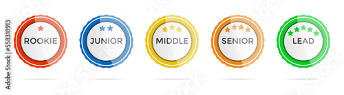 Set of career level medal badges. Skill level formation