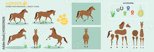 Brown Horse ready to animate with multiple poses accessories. Vector file labeled ready to rig. Horse riding, horse jumping, horses playing. 