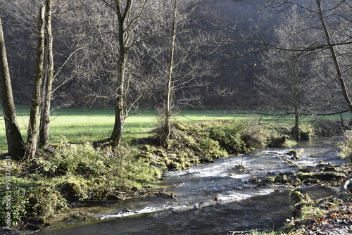 Dolina Prądnika, Przyroda, Ojcowski Park Narodowy,