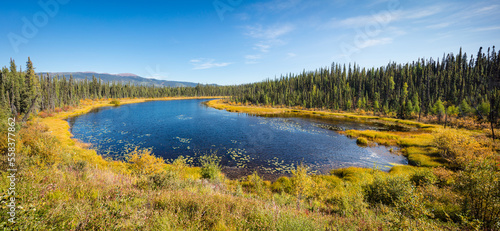 Little lake in the boreal forest of the southern Yukon Territory, Canada