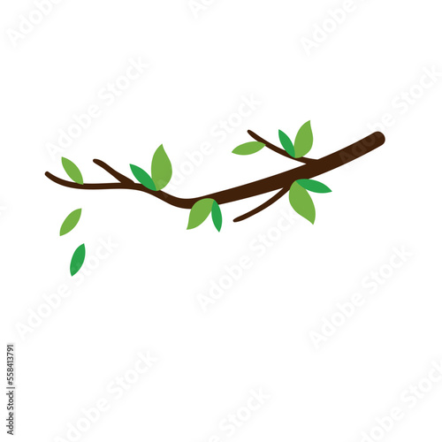 tree branch twigs with leaves